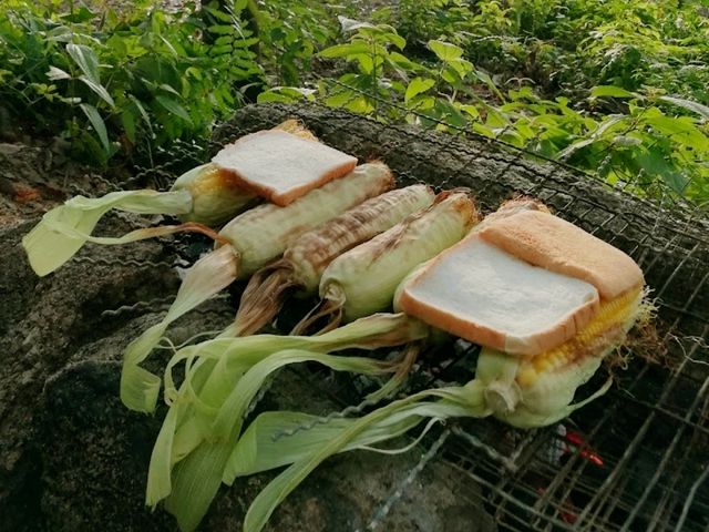 Budo Su-Ngai Padi National Park