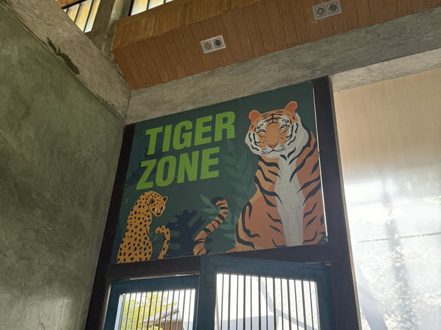 【タイ/プーケット 】タイガーと急接近！？🐅