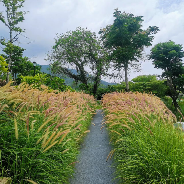 高螺村濕地公園：美麗鄉村濕地🌾🐦