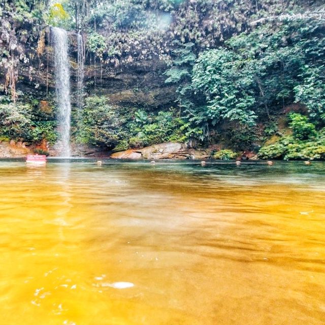 🇲🇾 Lambir Hills National Park: Trails for Every Adventurer