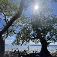 No entrance no fee located at Samal 