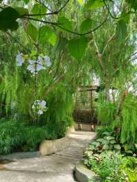 SECRET GARDEN ON A ROOFTOP 