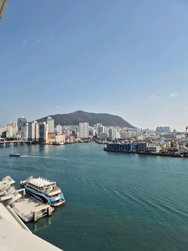 Jagalchi Seafood Market Busan 🦞🐟🐠🐚