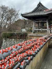 達摩神社！💗勝尾寺💗跟著這篇走不迷路