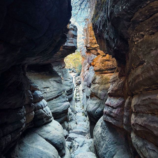 Conquering the Pinnacle: A Grampians Hike to Remember!