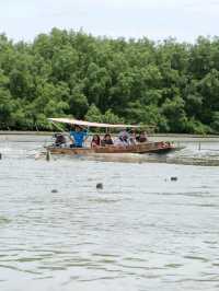 นั่งเรือปลูกป่าชายเลนที่คลองโคนกัน