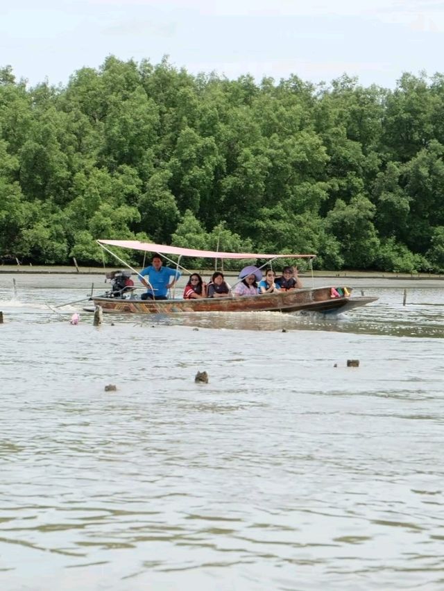 นั่งเรือปลูกป่าชายเลนที่คลองโคนกัน