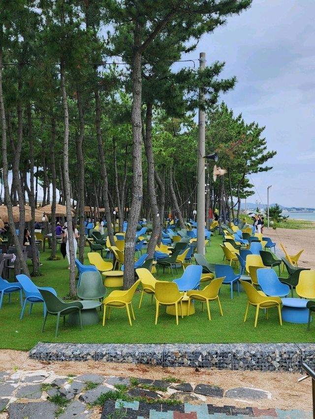 🧭🏕속초카페거리 고성 바다뷰 카페 '바다정원'