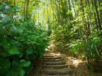 【奈良】最古のお寺、飛鳥寺