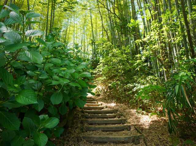 【奈良】最古のお寺、飛鳥寺