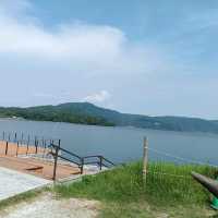 滿佈花海的池田湖