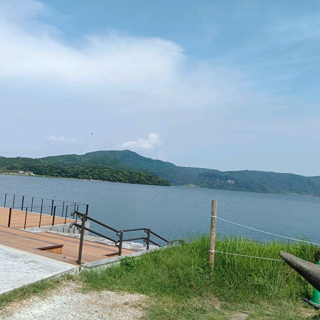 滿佈花海的池田湖 滿佈花海的池田湖
