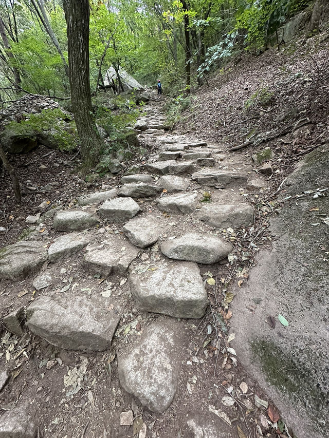 Fresh air and smell of pine trees in Bukhansan forest