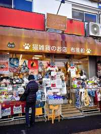 探索懷舊東京的秘密基地：谷中銀座商店街漫遊指南🛤️🐱