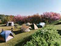 โครงการบ้านเล็กในป่าใหญ่ 