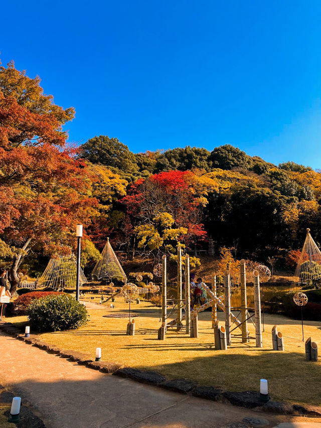 Serene Autumn Splendor at Higo-Hosokawa Garden 🍁