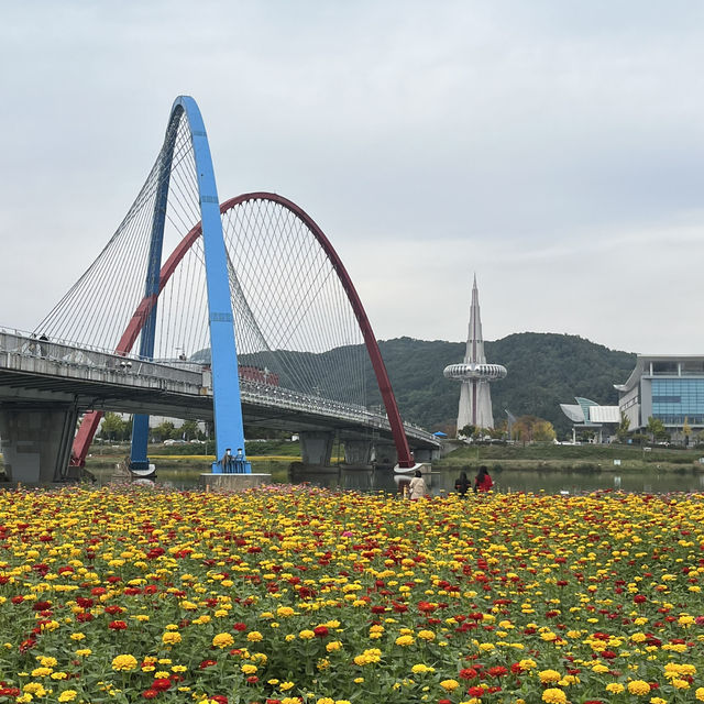 [대전] 가을 꽃 가득 아름다운 한밭수목원 🍁🍂