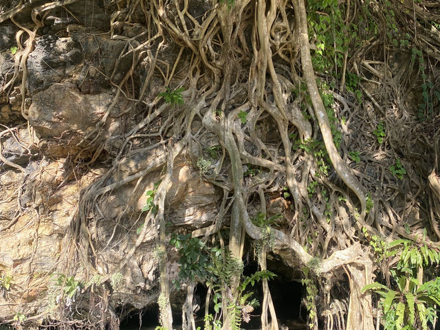 ศาลเจ้าเปากง จังหวัดตรัง ⛩️