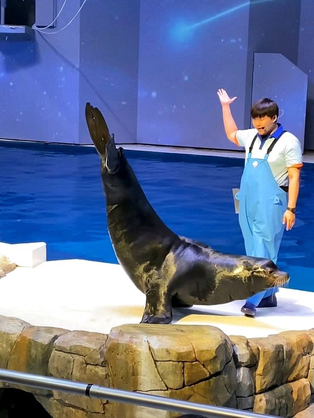 제주 실내 데이트 장소 찾는다면 여기 가세요🐠
