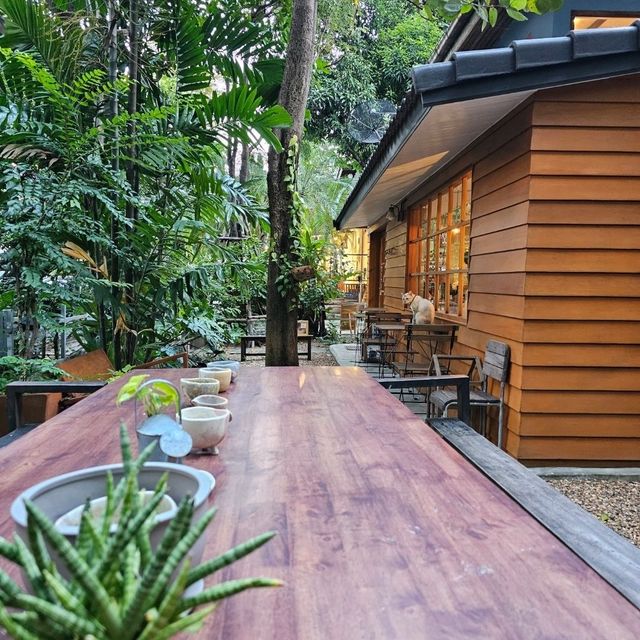 แจกพิกัดคาเฟ่ลับย่านสุขุมวิท