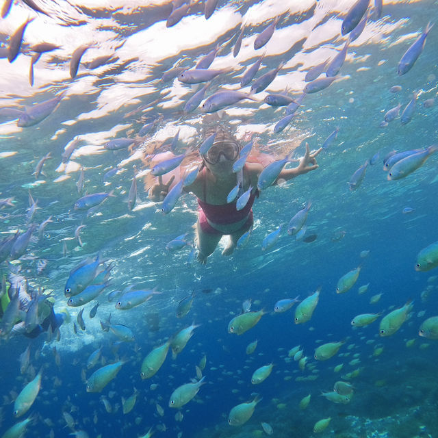 보홀여행의 필수 발리카삭 호핑투어 스노클링 🌴🐟🐠