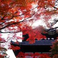 聖福寺：秋意盎然🍂