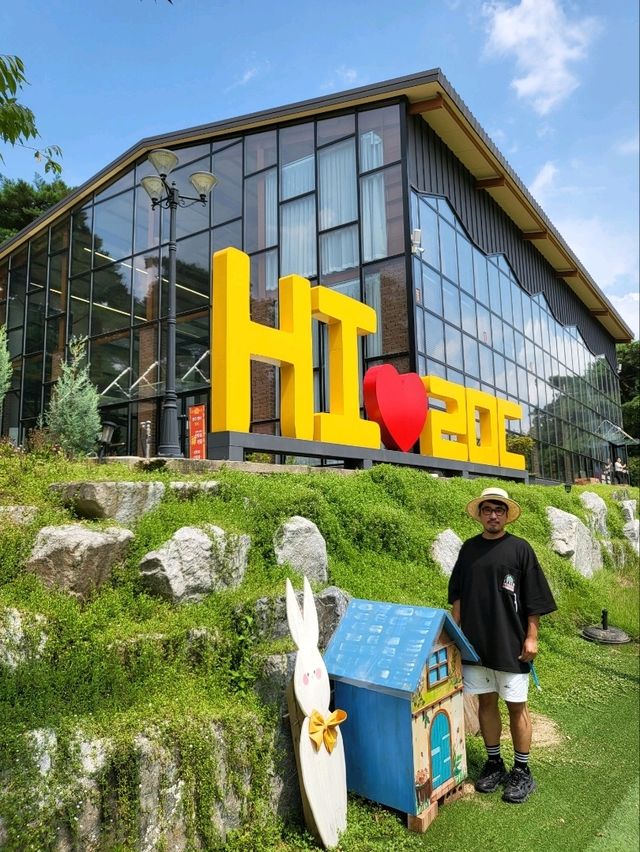 지금 가면 더 예쁠 장성 가을여행지