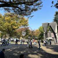 Ueno Park • Tokyo 🇯🇵 Japan