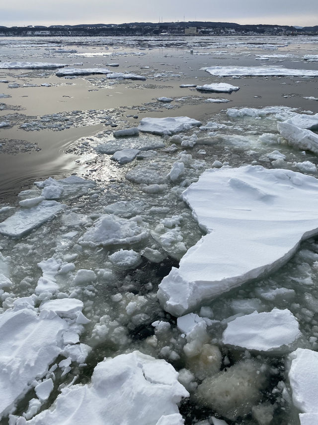【北海道】流氷鑑賞チェックリスト