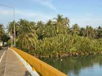 สะพานตะโละเลเวง อำเภอไม้แก่น
