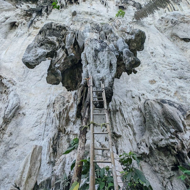 Thrilling Adventure at Spirit Mountain, Krabi