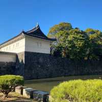 景點推薦：皇居東御苑，東京中心的寧靜綠洲