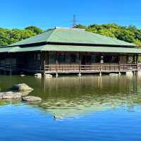  遊客分享：大仙公園，一個輕鬆悠閒的綠洲