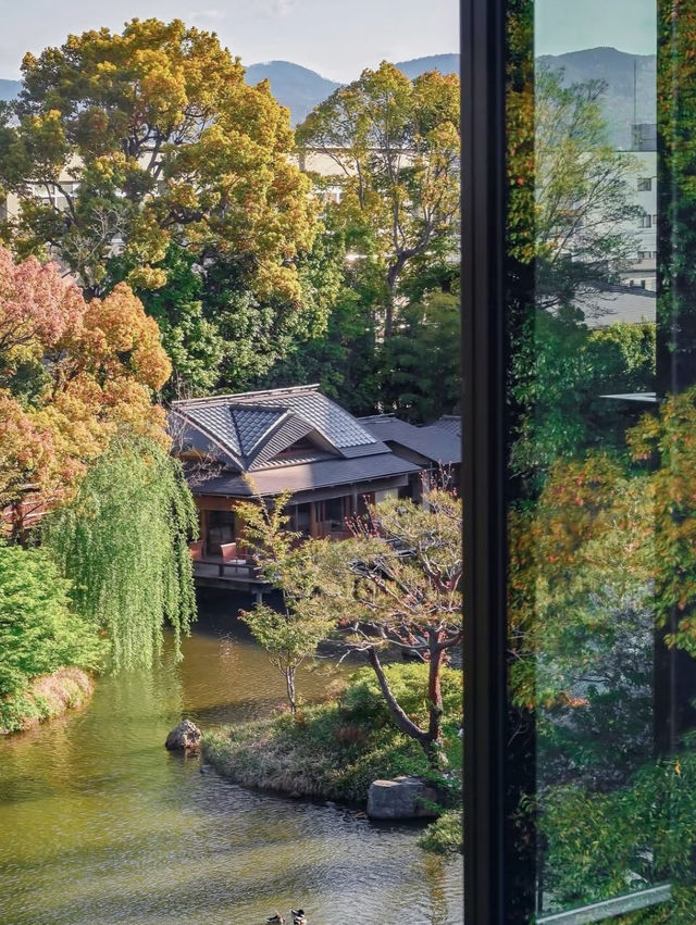 Timeless Elegance: My Luxurious Escape at Four Seasons Hotel Kyoto