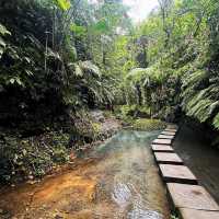 Hidden Gem of Ulu Petanu Waterfall