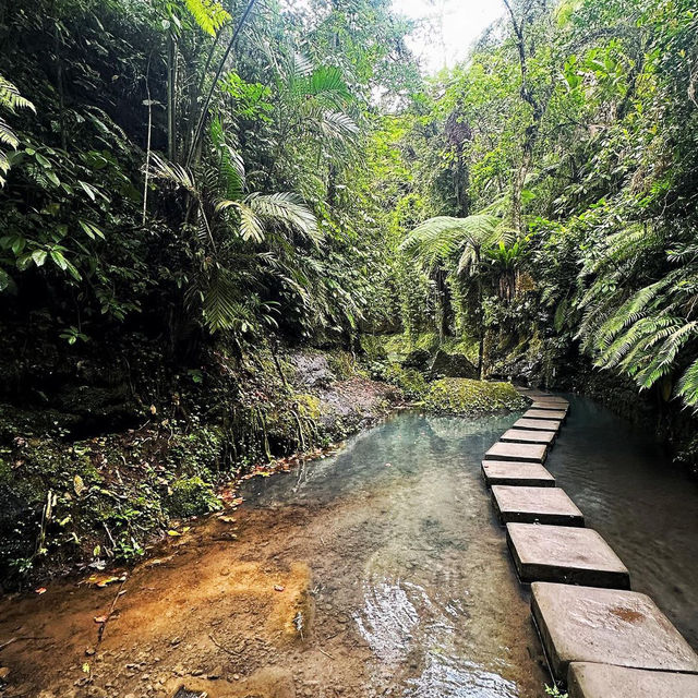 Hidden Gem of Ulu Petanu Waterfall