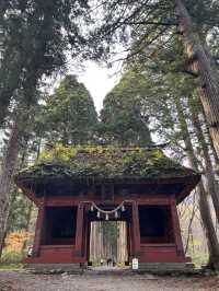 Beyond the Gate: Togakushi Shrine