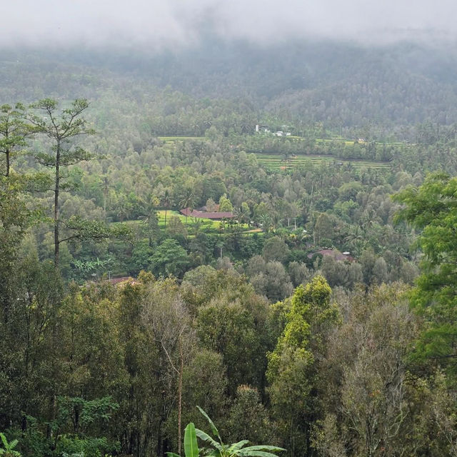 Embracing Nature’s Splendor in Munduk, Bali