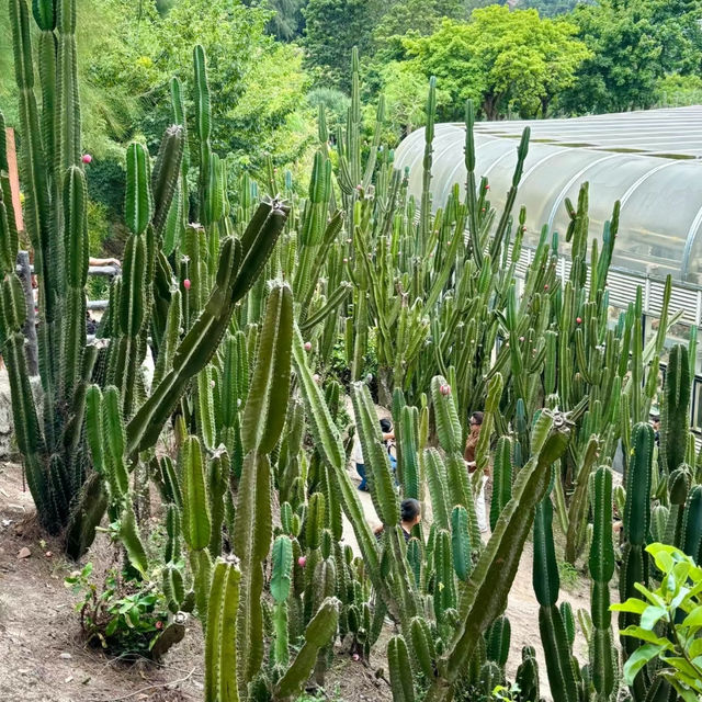 福岡市動植物園：自然的奇妙🌿🦁