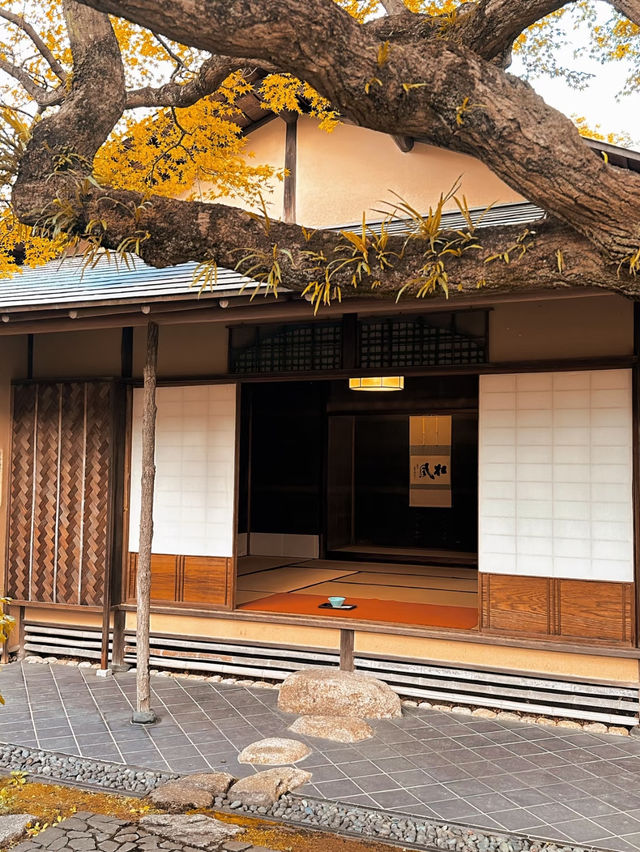 福岡松風園行程全攻略🥰楓葉觀景超美❤️