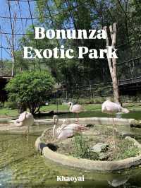 เที่ยวสวนสัตว์เขาใหญ่ Bonunza Exotic Zoo!