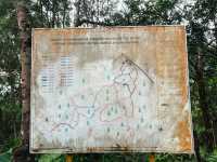 Quick 5km hike / trail run in Jerudong, Brunei !