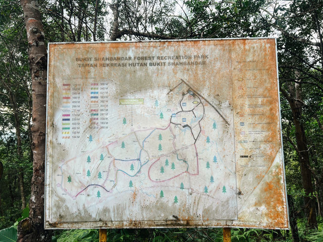 Quick 5km hike / trail run in Jerudong, Brunei !