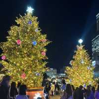 【大阪/天王寺】てんしばクリスマスマーケット🎄