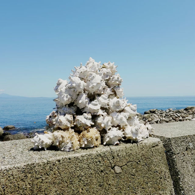 【静岡県】熱海港から約30分で行ける初島が最高すぎた