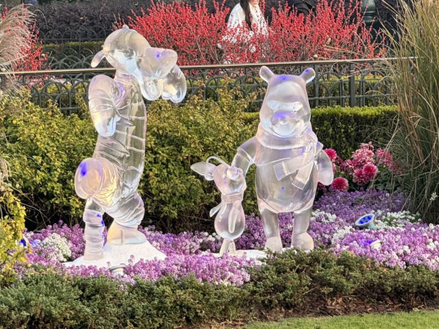 上海ディズニーランド🏰クリスマスイルミネーション🎄