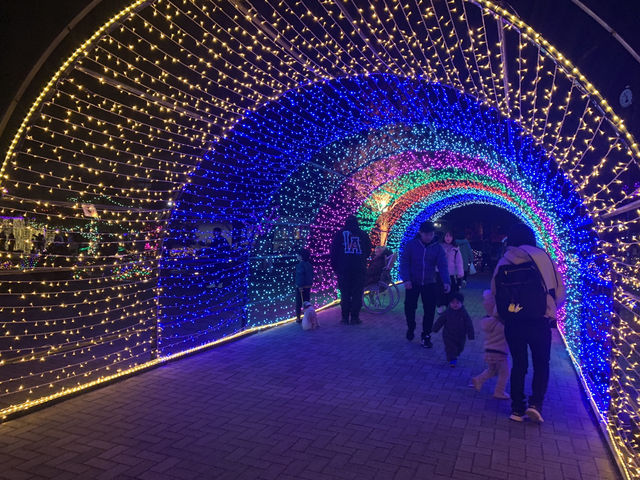 งานประดับไฟ Christmas 🎄 