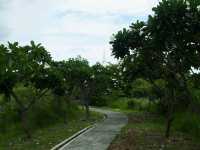 วัดอัษฎางคนิมิตร เกาะสีชัง