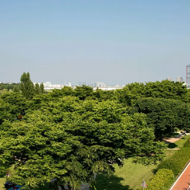 A large park that occupies the entire Seonyudo