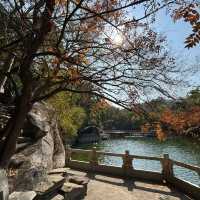 金灣金山公園：陽光下的自然☀️